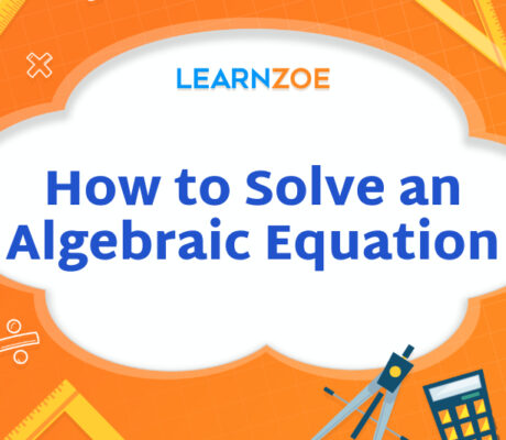 How to Solve an Algebraic Equation